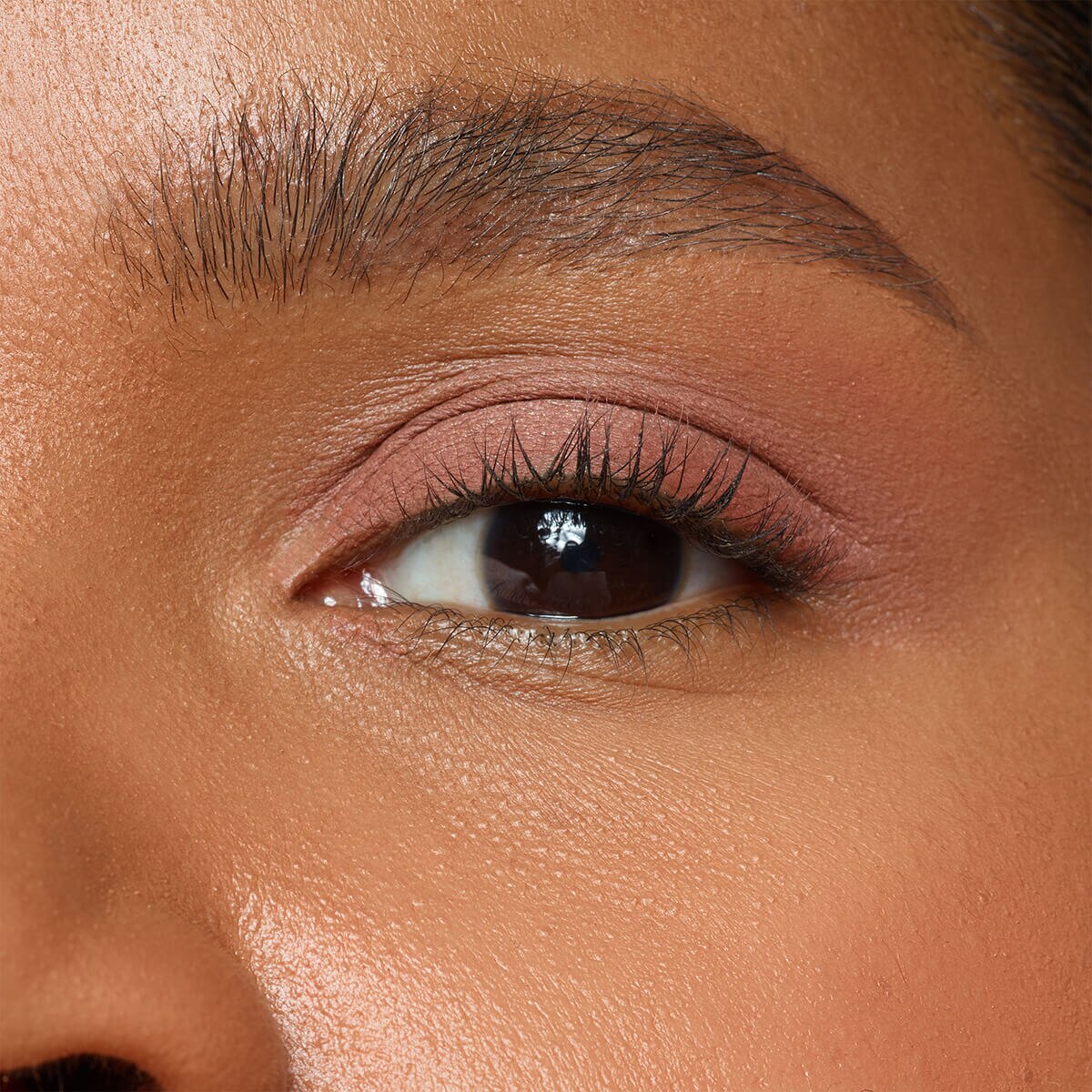 MAGNETIC EYE COLOR (SOMBRA DE OJOS)